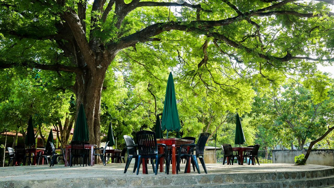 مبيت وإفطار أنرادابورام Malwathu Oya Caravan Park المظهر الخارجي الصورة